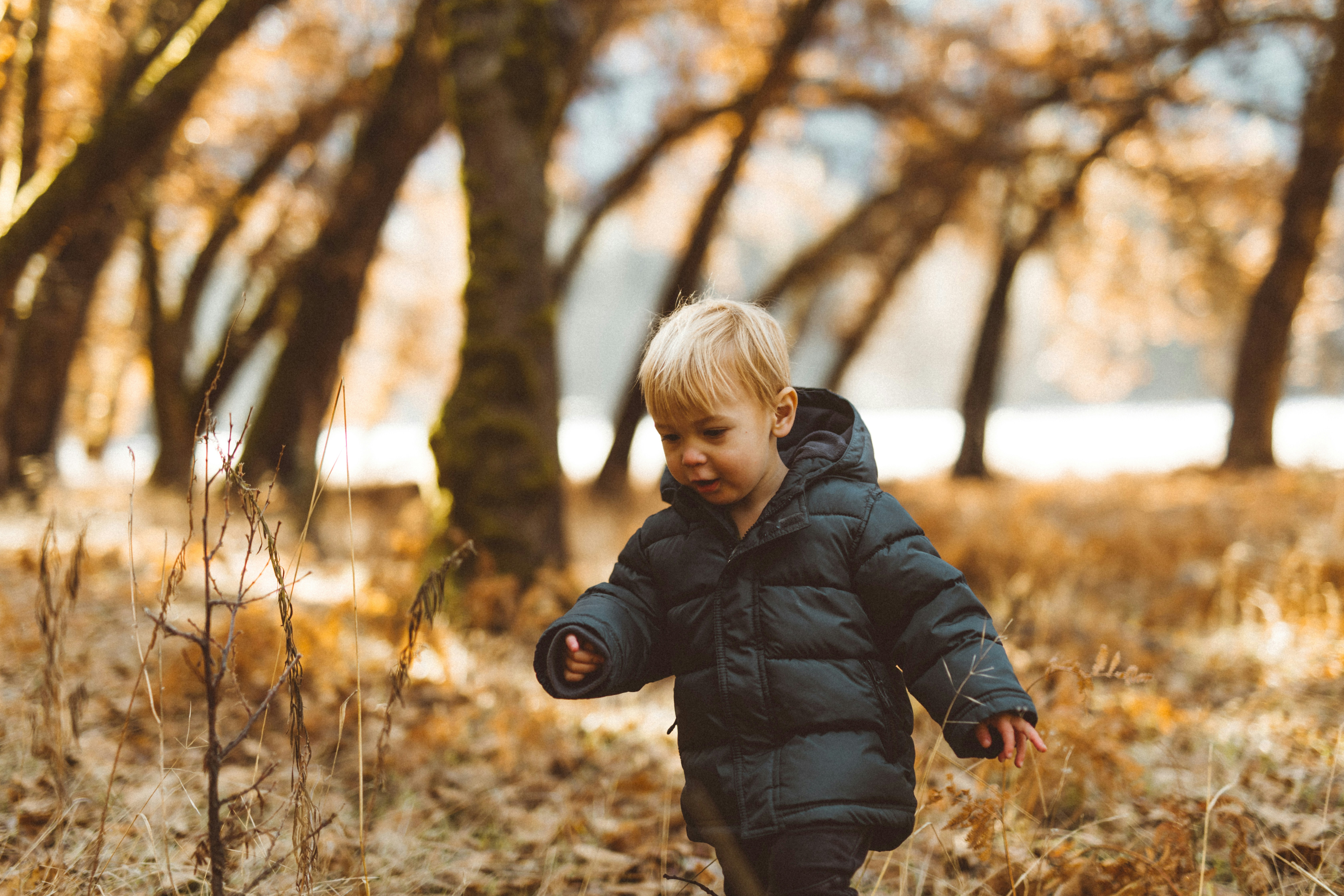 Photo by nate_dumlao