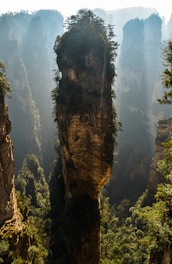green trees on brown cliff