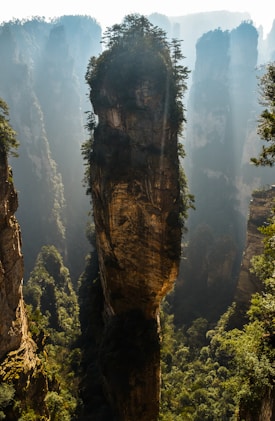 green trees on brown cliff