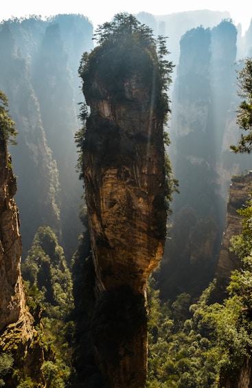 green trees on brown cliff