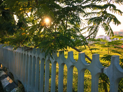 A sleek white vinyl fence bordering a modern home under bright Florida sunshine.