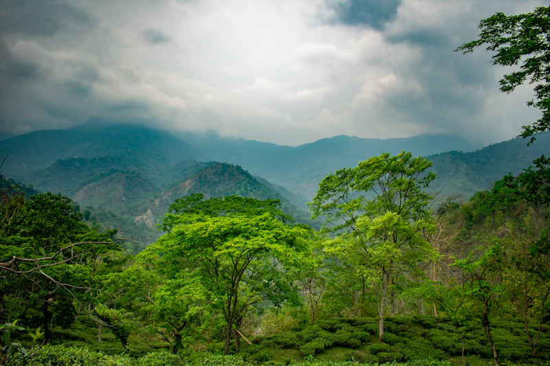 Darjeeling Day Sight Seeing