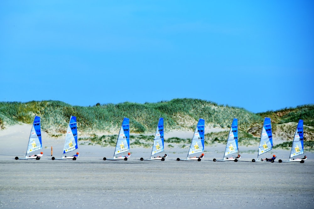 blue-and-white sail boats