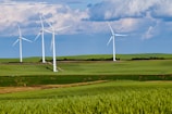 Several large wind turbines are situated across a sprawling green landscape, under a partly cloudy sky. The terrain is predominantly grassy with some hay bales scattered around, indicating an agricultural area.