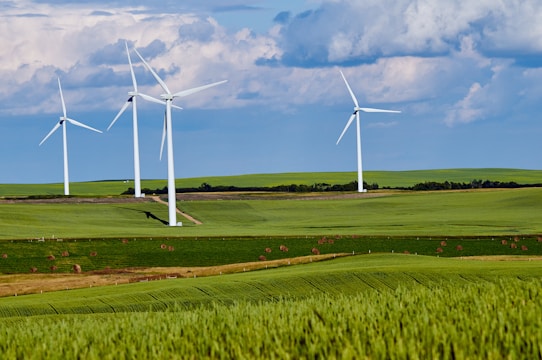 Wind turbines turning on a sunny Dutch countryside landscape.