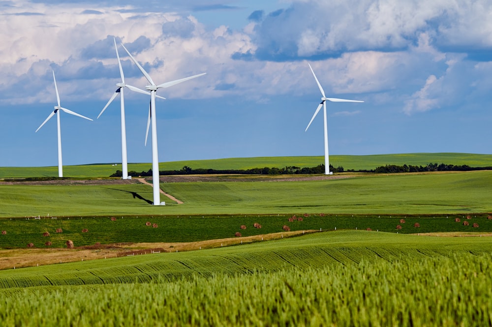 weiße Windmühle