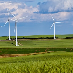 white windmill