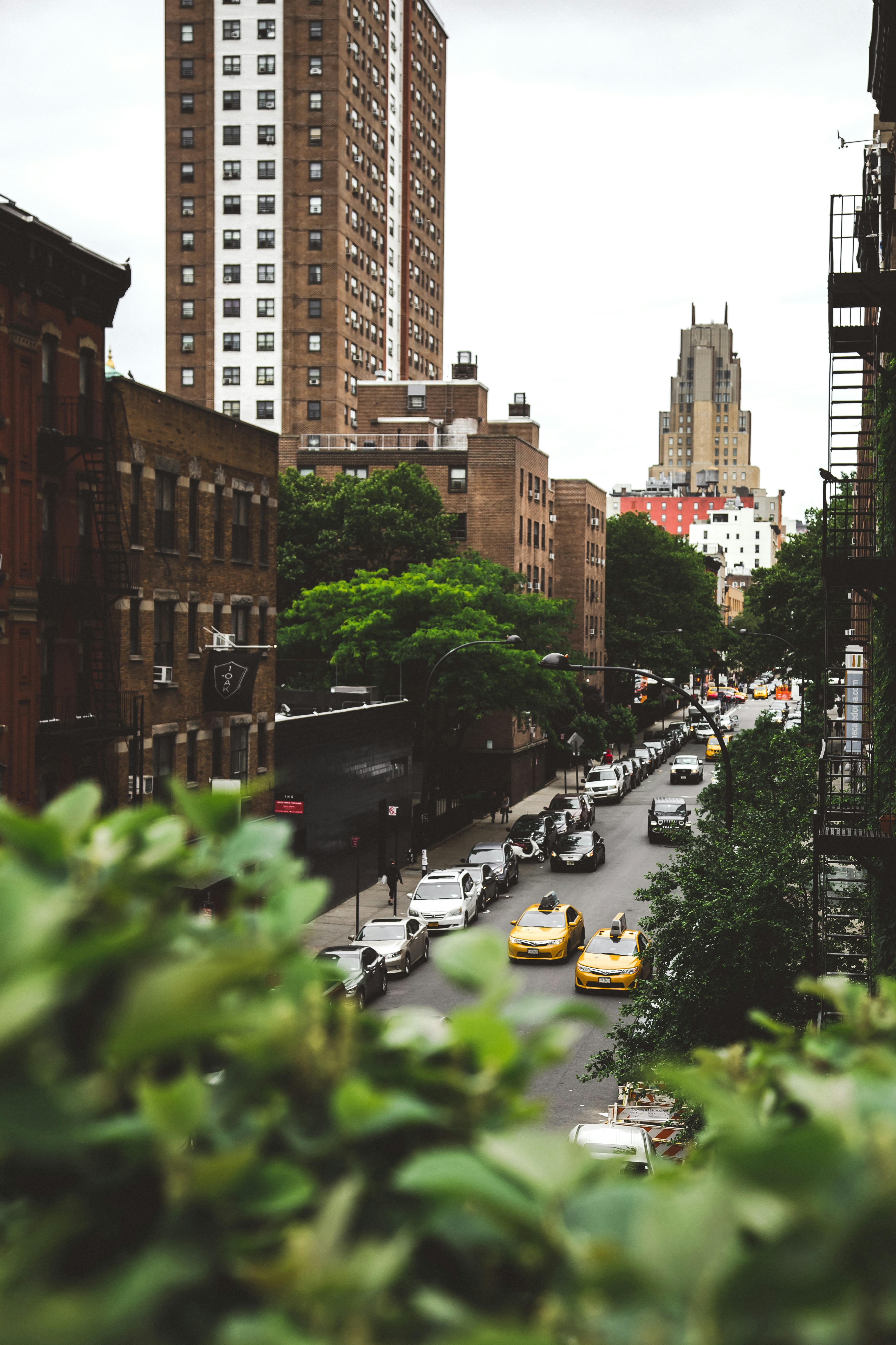 Photo by trenthaaland