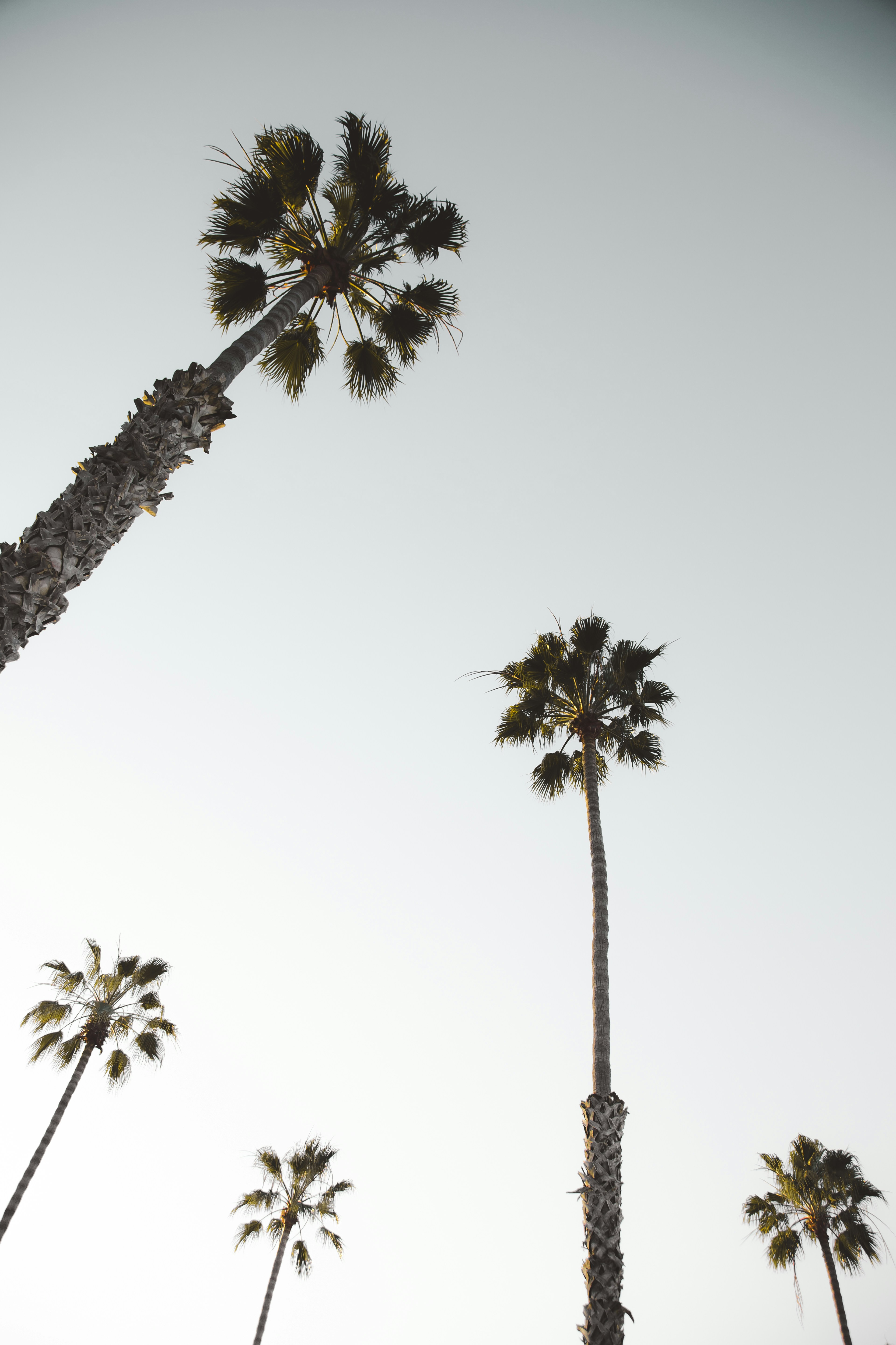 Photo by trenthaaland