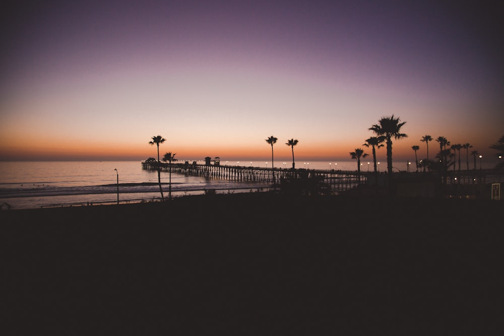 silhouette photo of sea dock