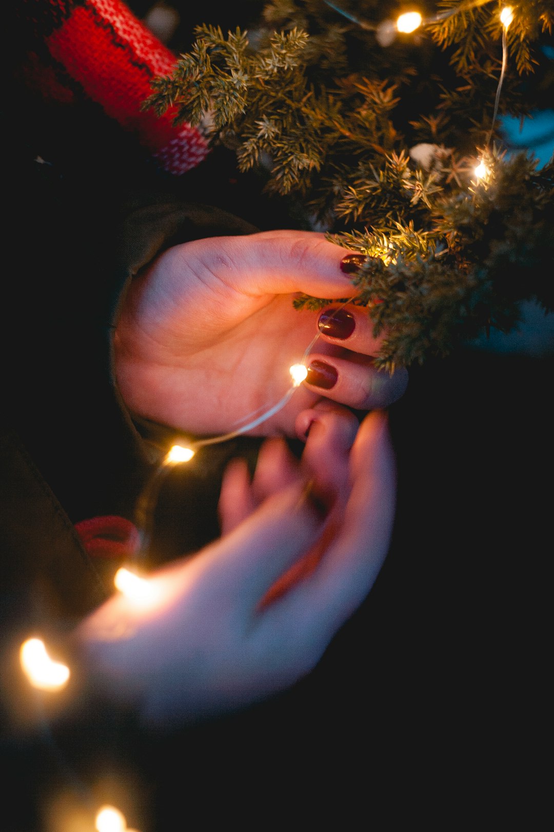 person holding turned-on Christmas lights