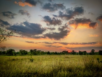 A picturesque landscape of the steppe with a sunset in the background.