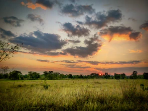 A beautiful illustration of a peaceful countryside sunset, reminiscent of a scene from my romance novel.