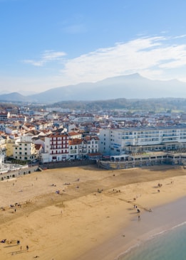 aerial-view photo of seashores across white buildings