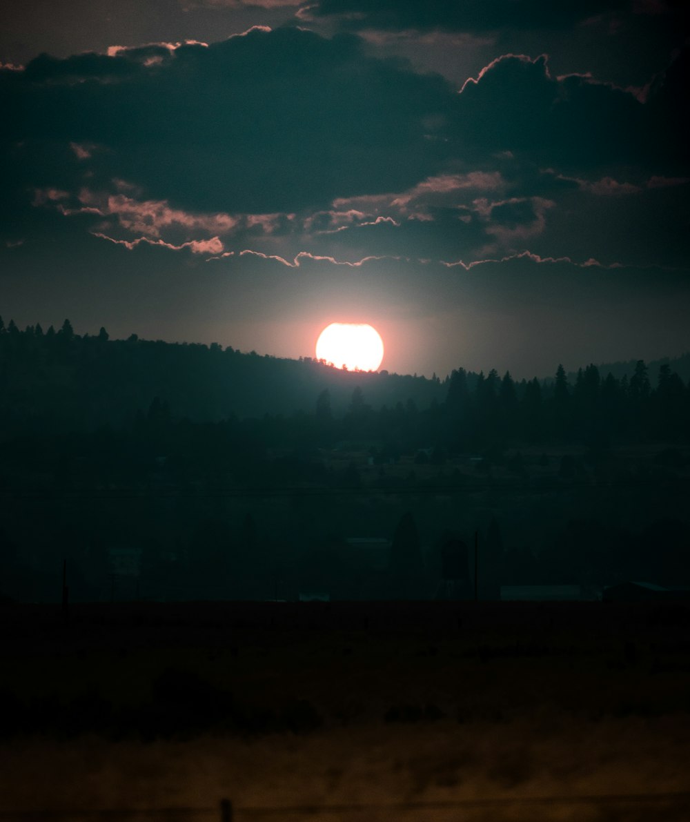 fotografia de silhueta de árvores