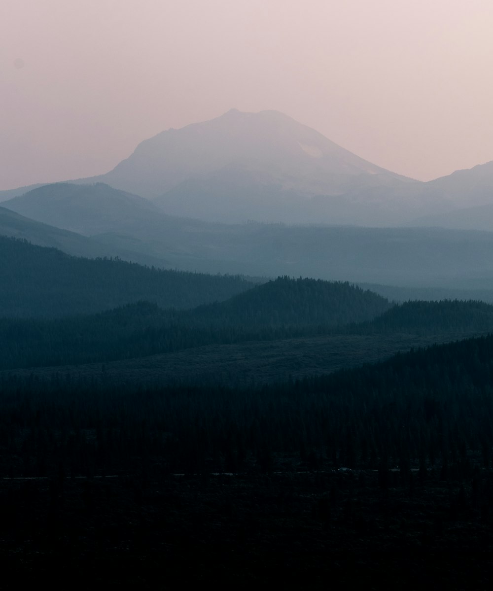 green woods across mountain