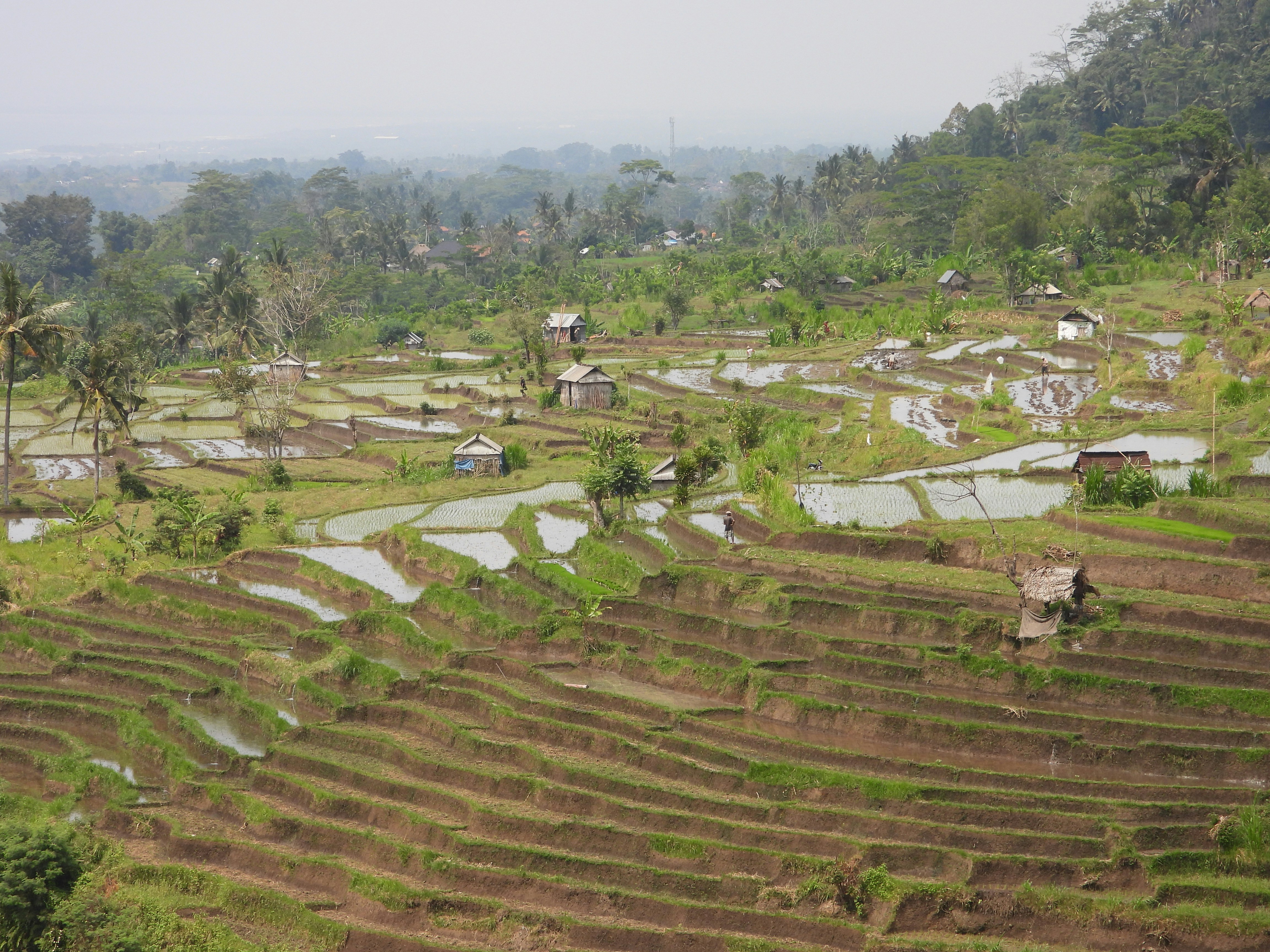 Photo by simonabbink