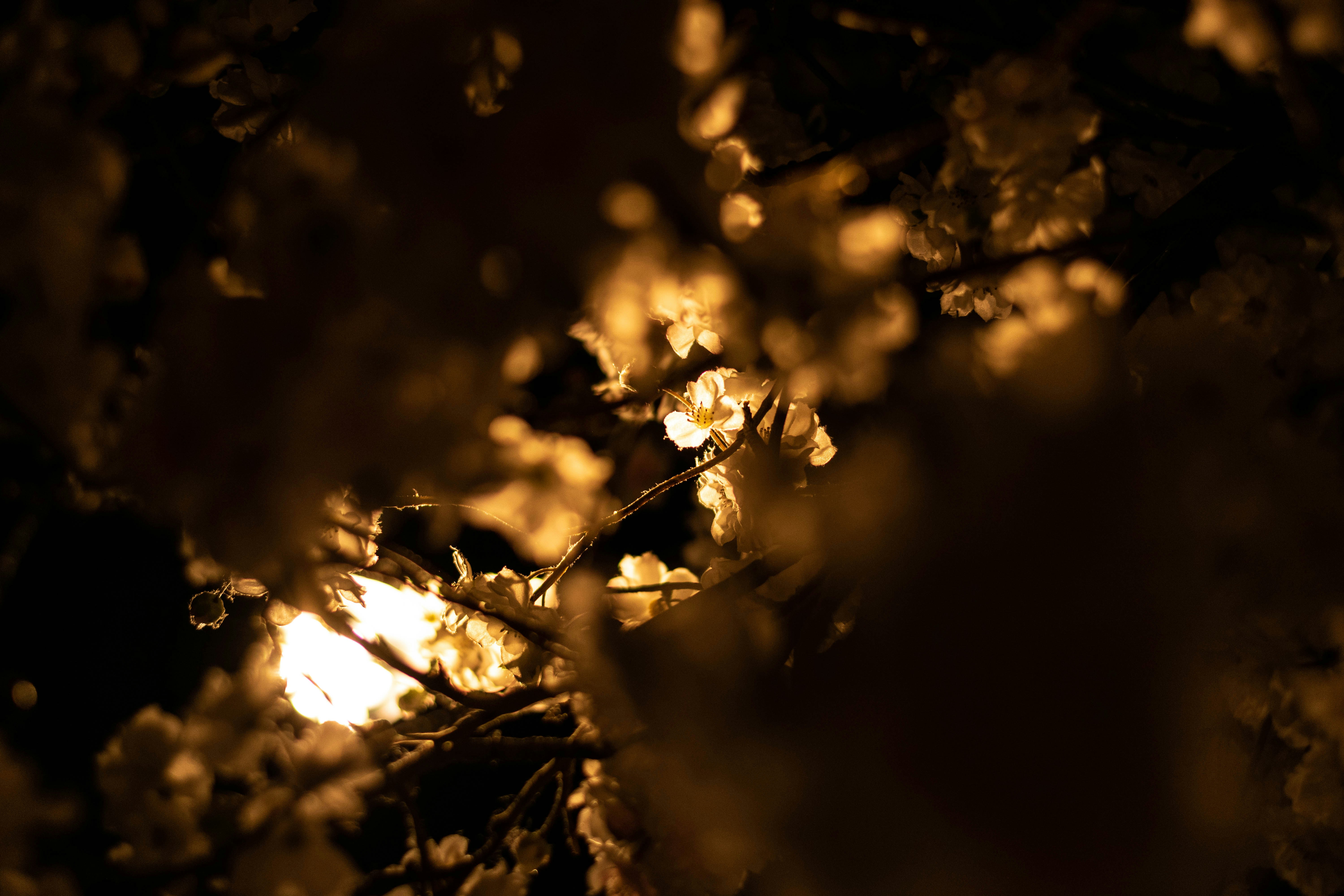 EmiSwap header image