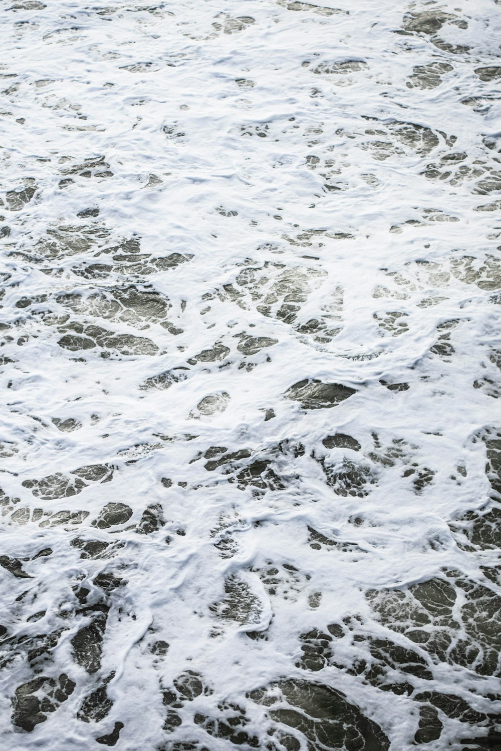 white bubbles on body of water