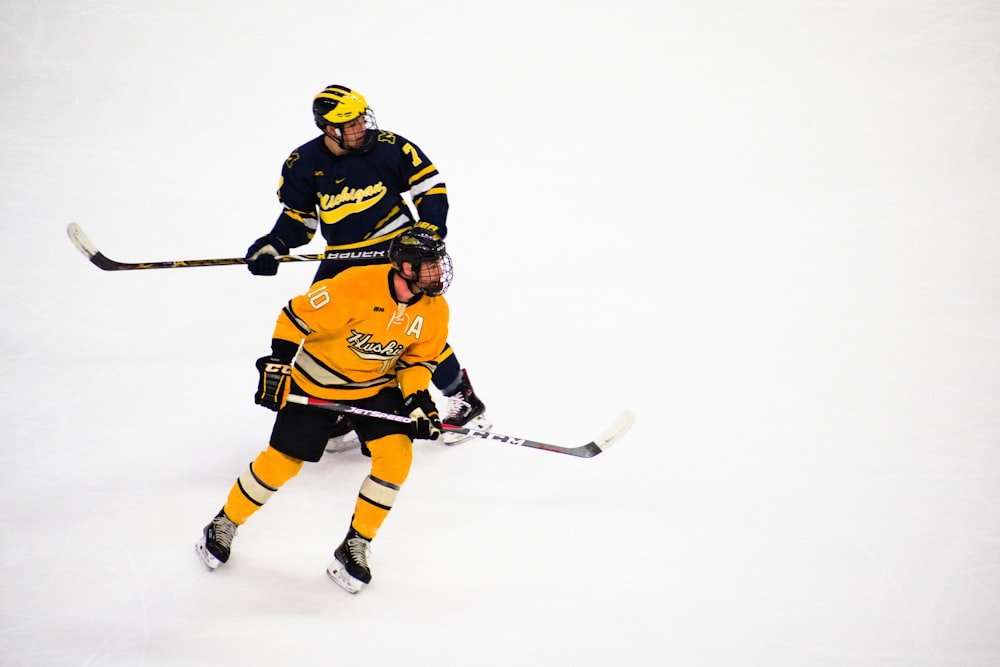 2 men playing hockey