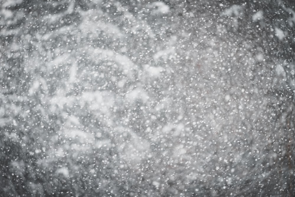 black and white marble surface