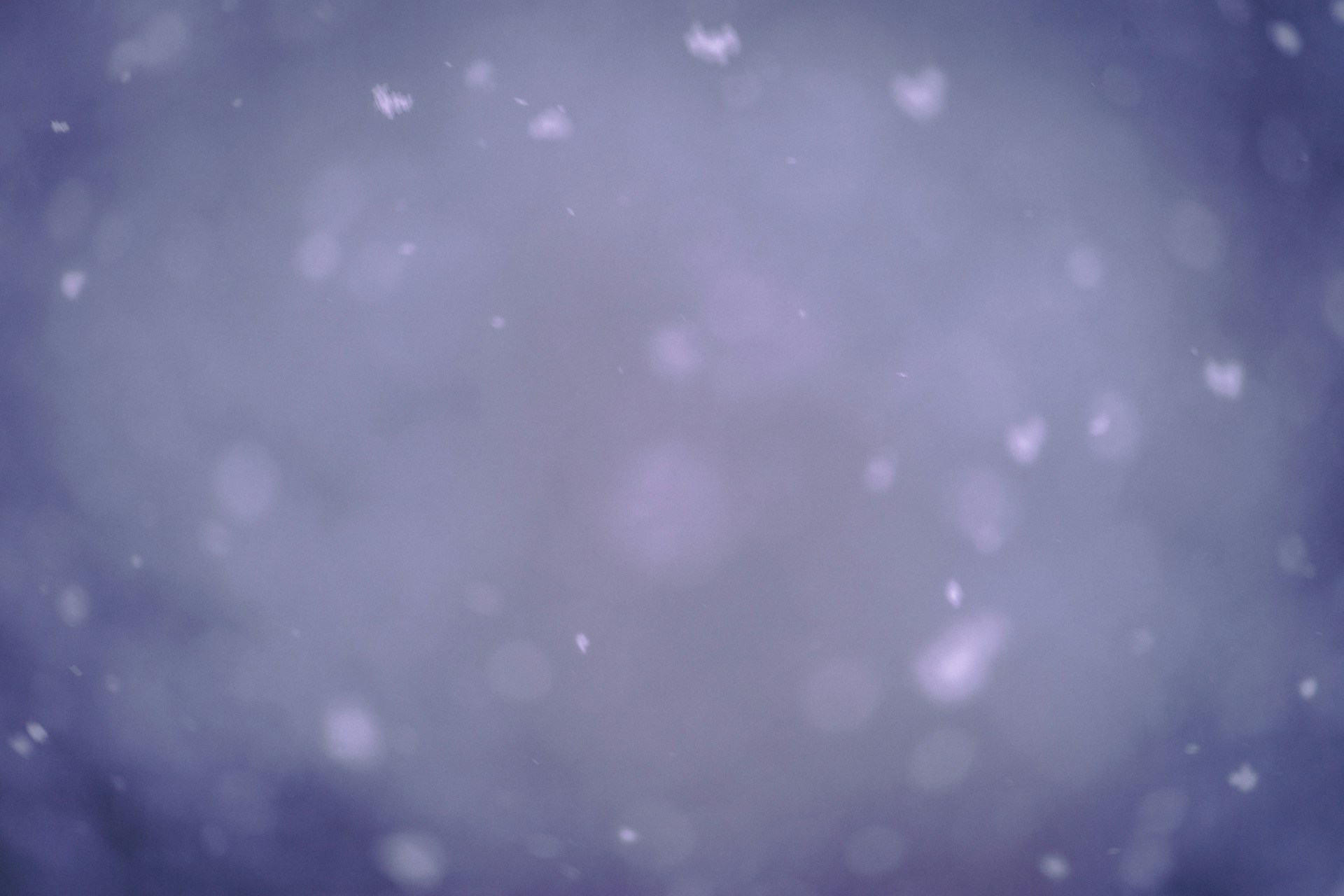 purple and white floral textile