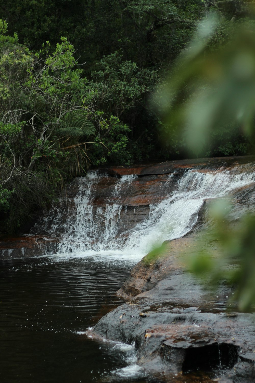 flower waterfall near trees during daytimee