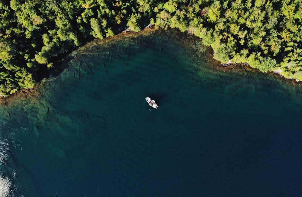boat docked near shore with trees in aerial photography