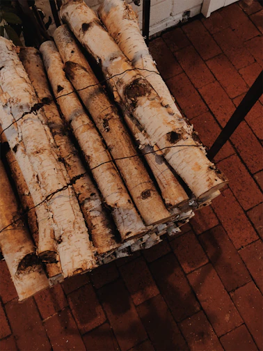 Neatly bundled birch logs resting on a rustic wooden floor.