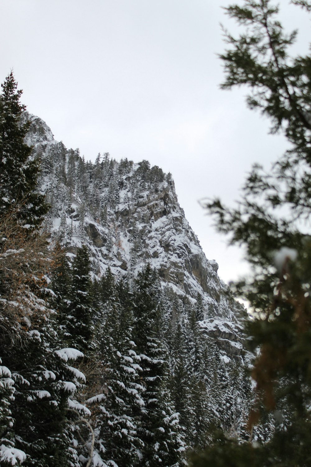 snow covered rock mountain wall