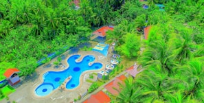 An aerial view of a resort-like area featuring a uniquely shaped blue swimming pool surrounded by lush green vegetation and palm trees. Red-roofed buildings and a series of poolside umbrellas are visible, enhancing the tropical ambiance.