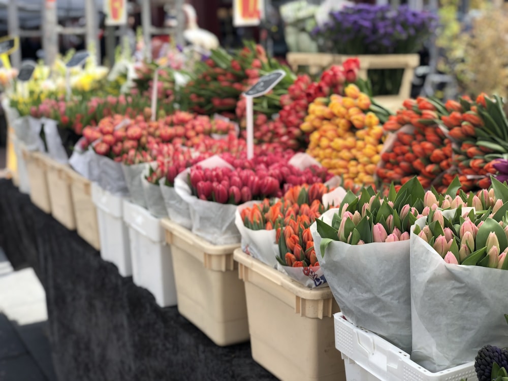 assorted flowers in container on display