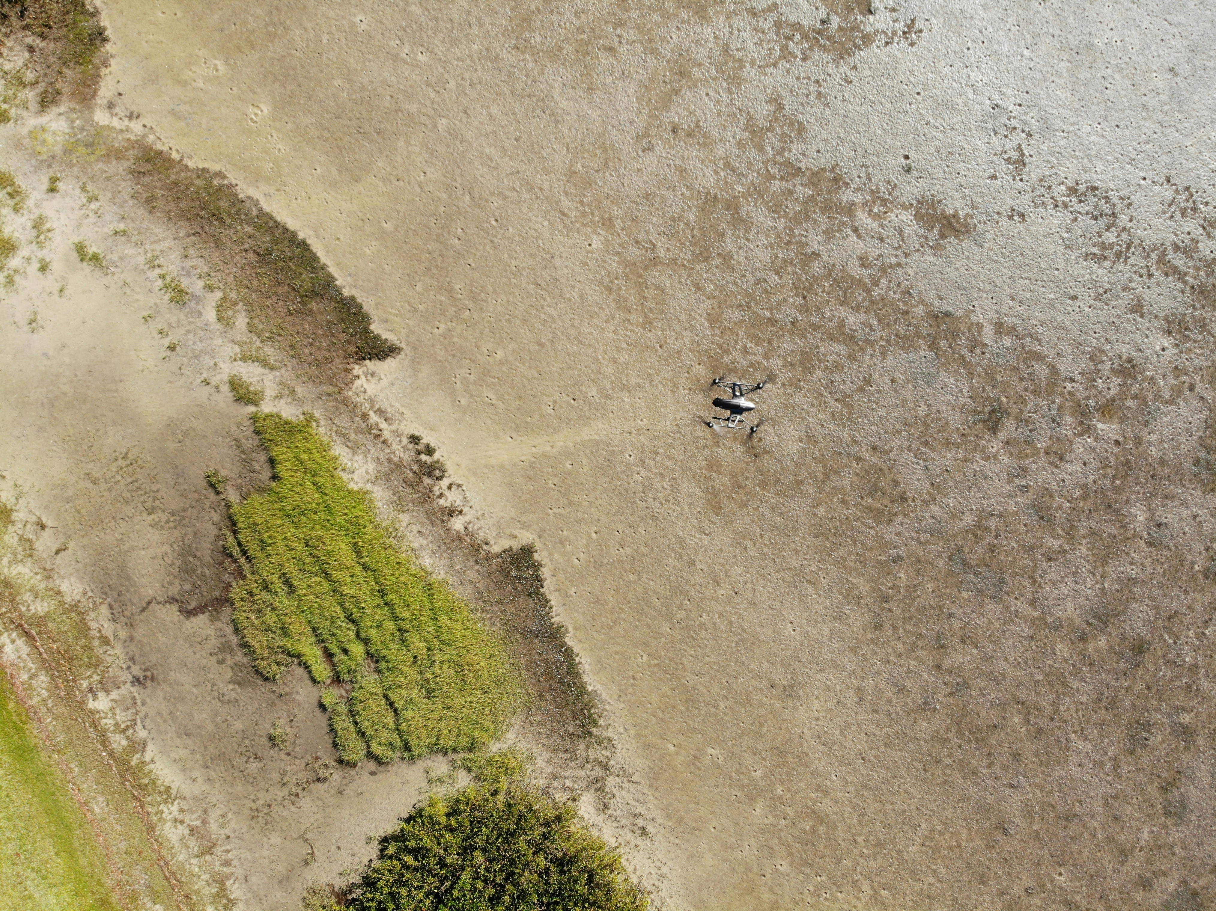 aerial photography of land during daytime