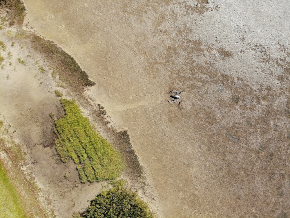 aerial photography of land during daytime