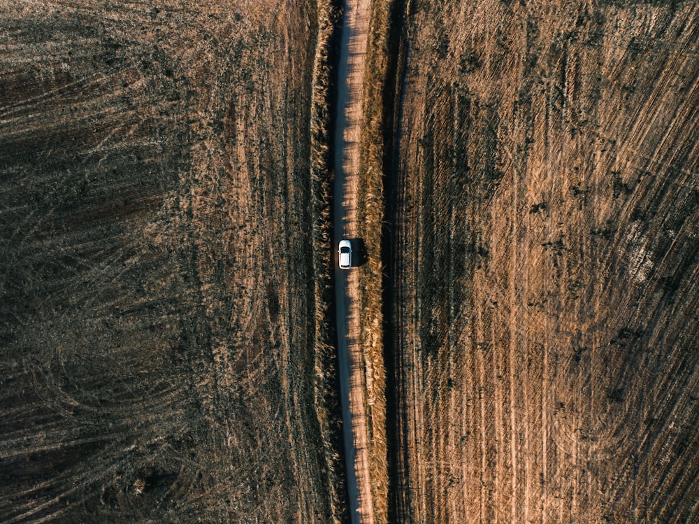 航空写真の道路上の白い車両