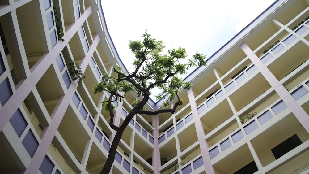 low angle photo of white concrete building