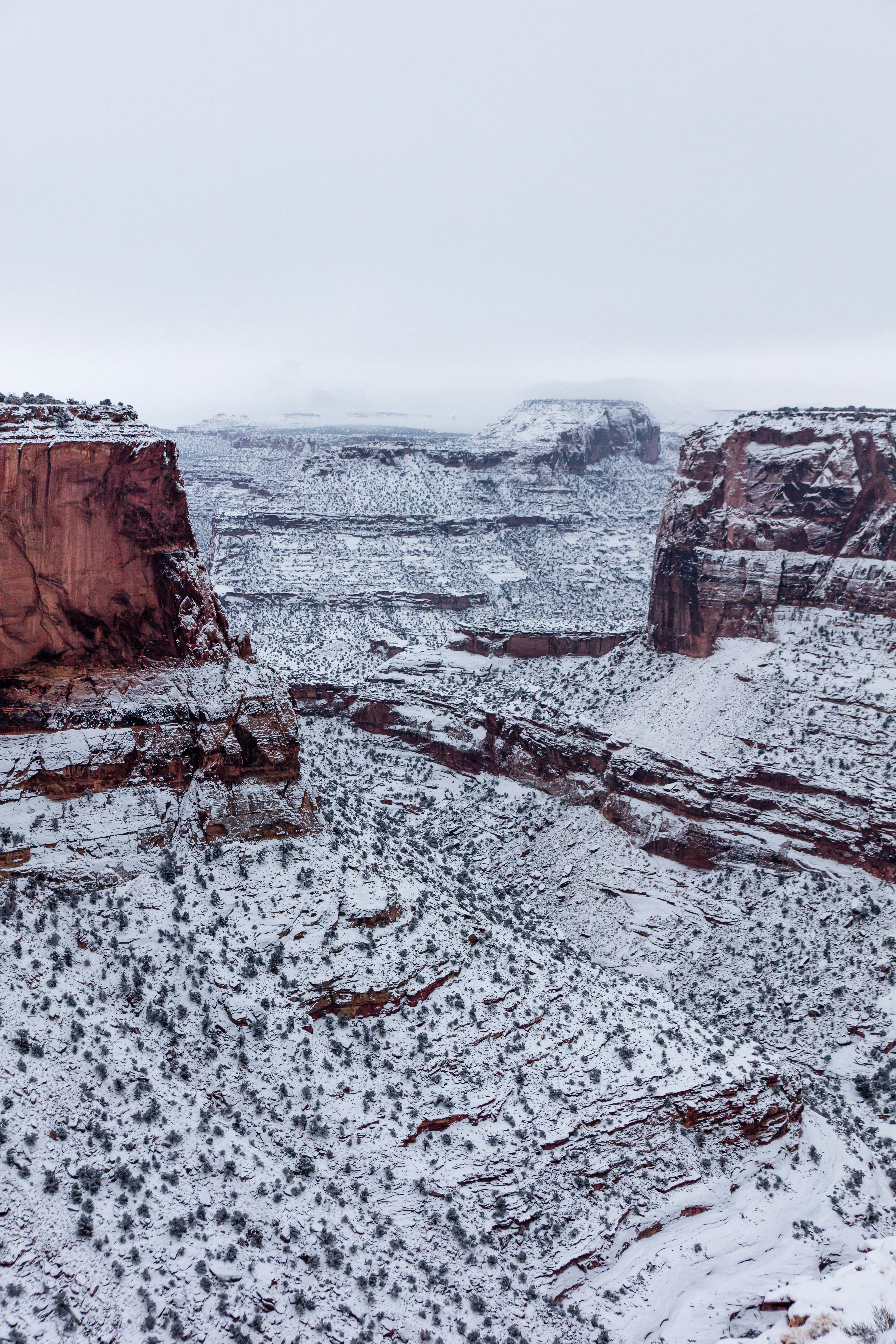 Photo by worldsbetweenlines