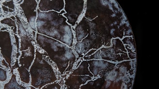 leafless tree branches artwork