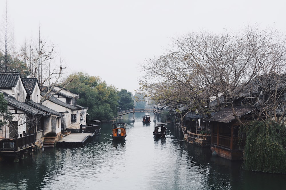 three wooden boats sailing on river lined with houses