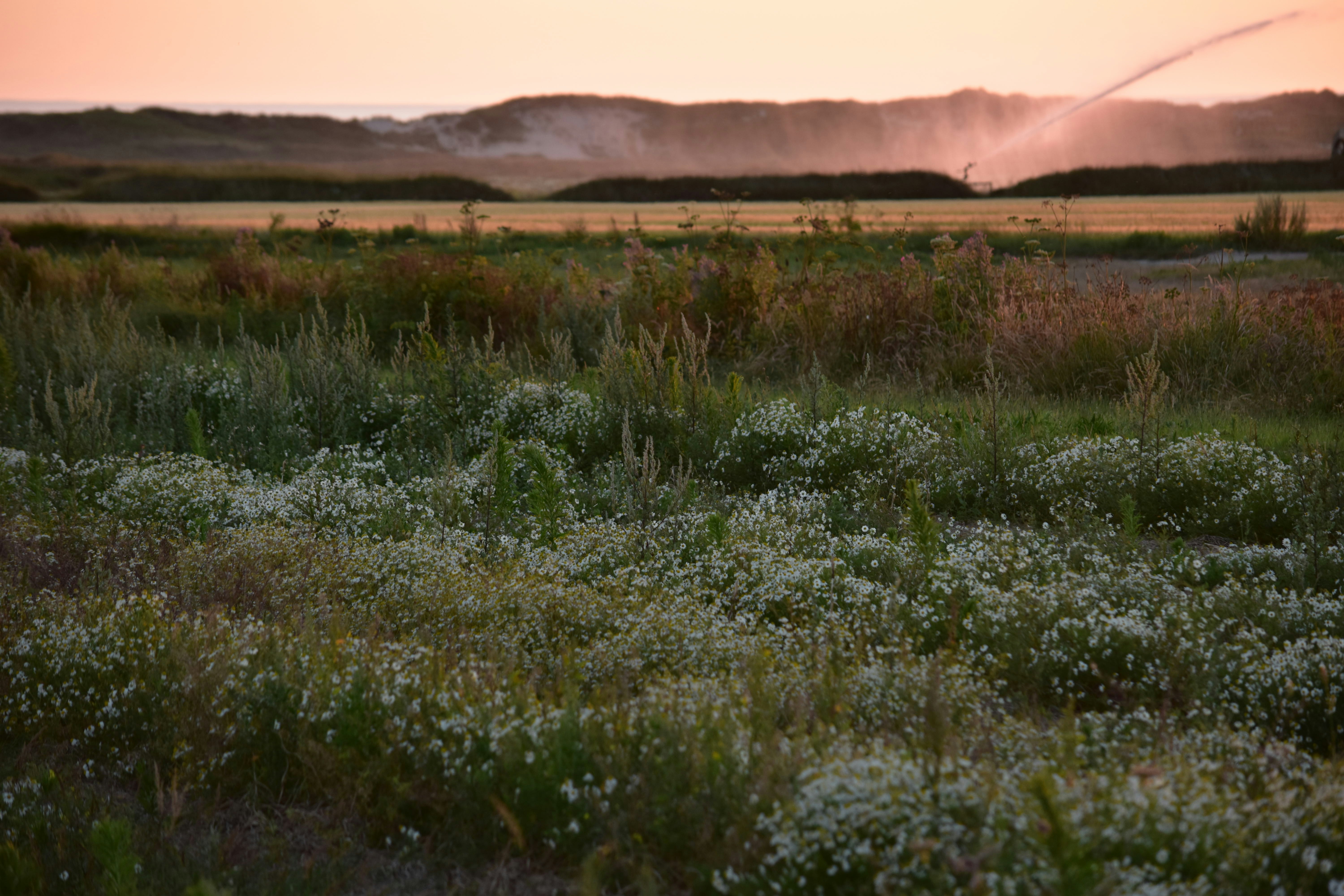 Photo by oliver_schweizer