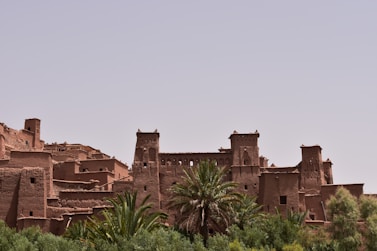 brown castle near palm trees