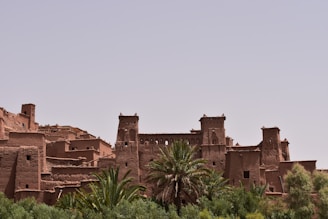 brown castle near palm trees