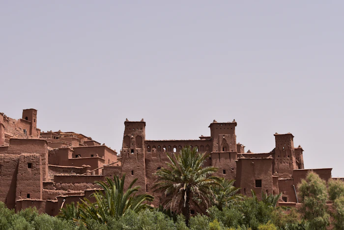 Marrakech to Fes: Imperial Cities photo 4