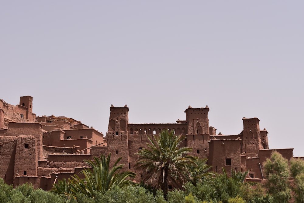 brown castle near palm trees