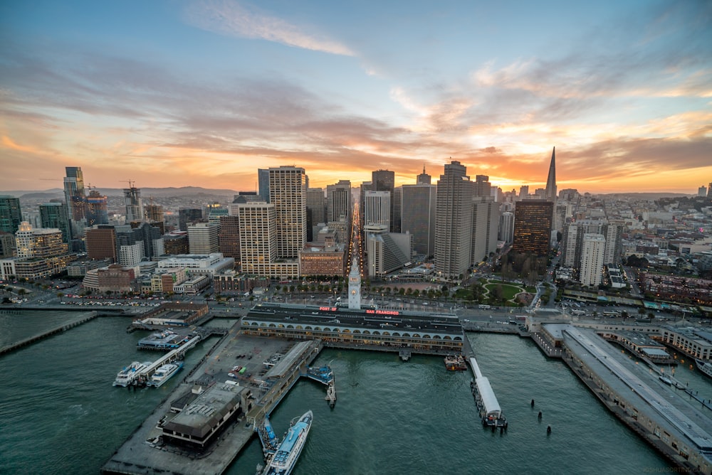 aerial photography of boat harbour during daytime