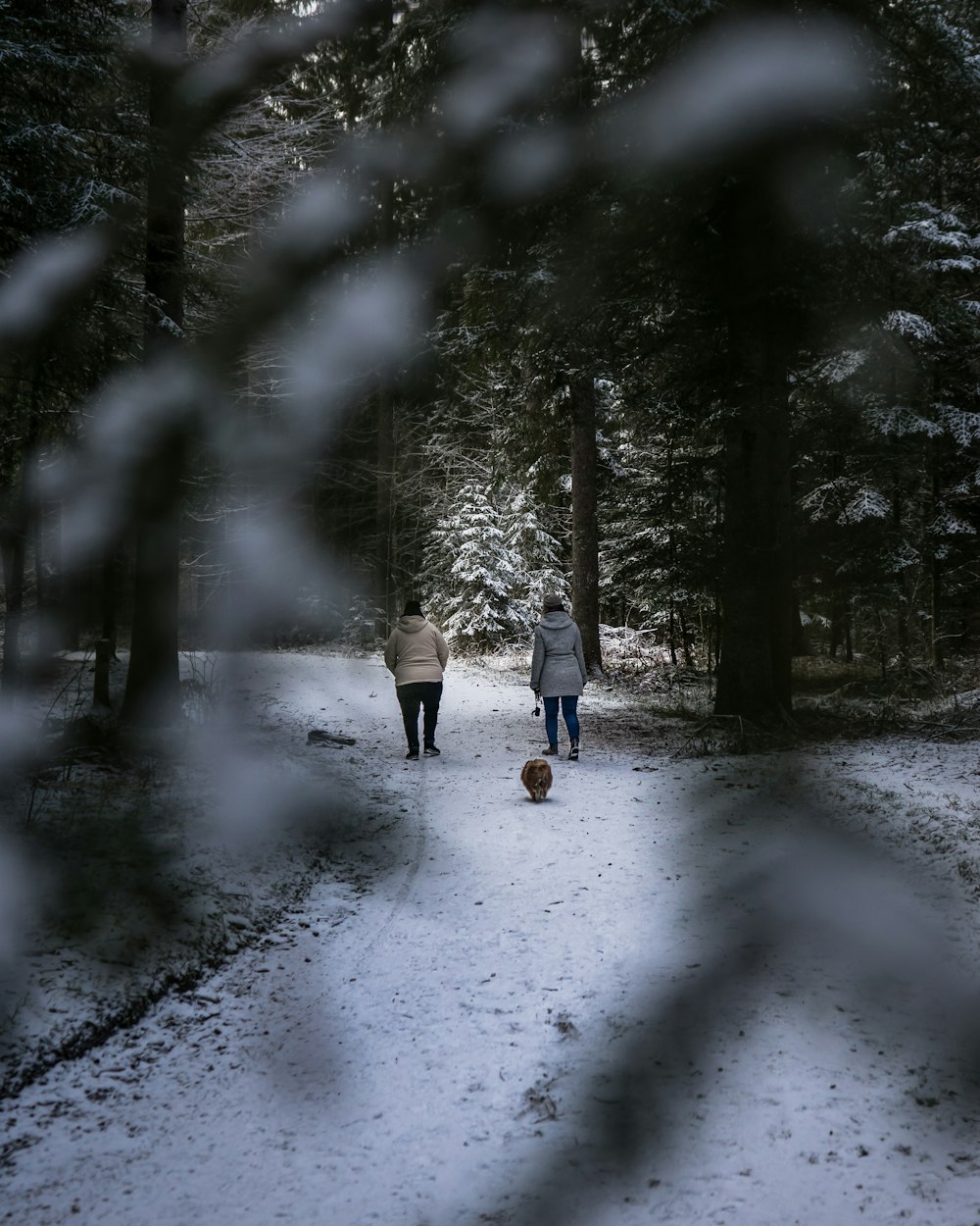 zwei Personen, die tagsüber auf einer schneebedeckten Straße gehen