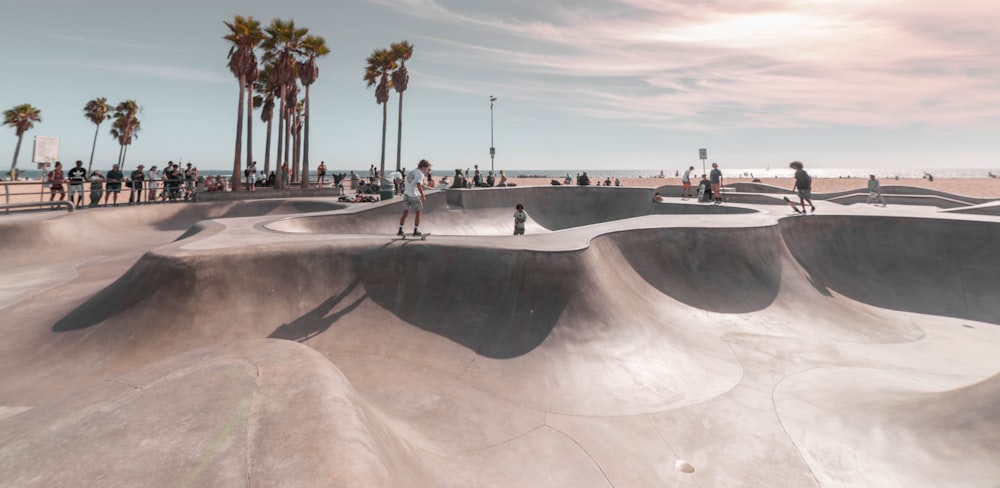 1000+ Skate Park Pictures  Download Free Images on Unsplash