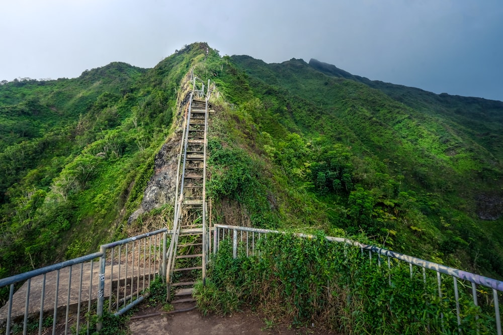 long wooden ladder going to the mountain peak