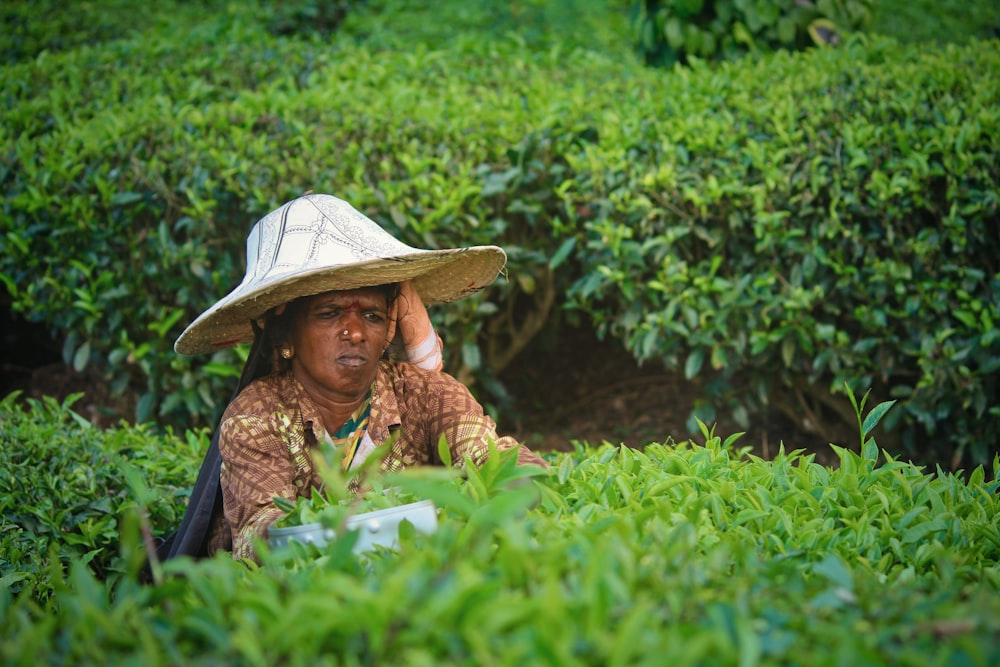 man wearing hat standing beside green-leafed plant during daytime