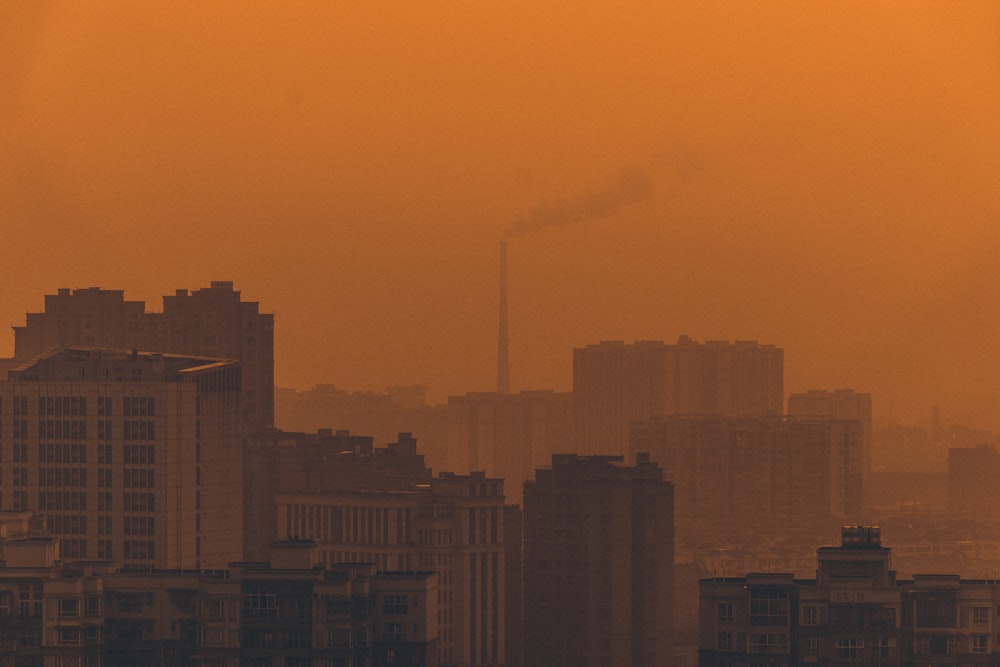 concrete buildings during golden hour